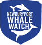 Newburyport Whale Watch